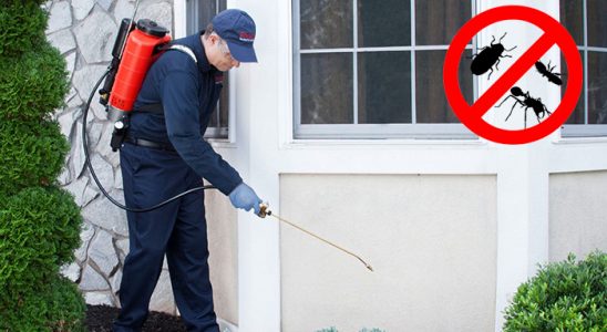 Mezitli Dezenfeksiyon böcek ilaçlama ve haşere kontrolü — ilaclama-tr.com